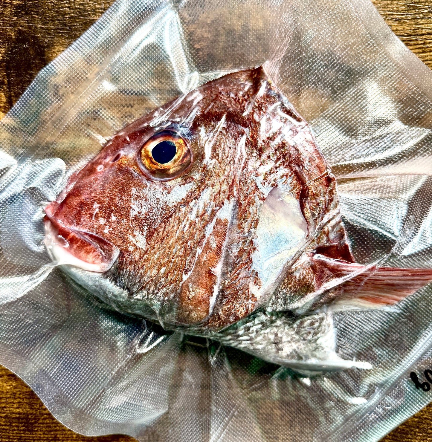 02049春の大ダイカブト(300g)(真空冷凍)