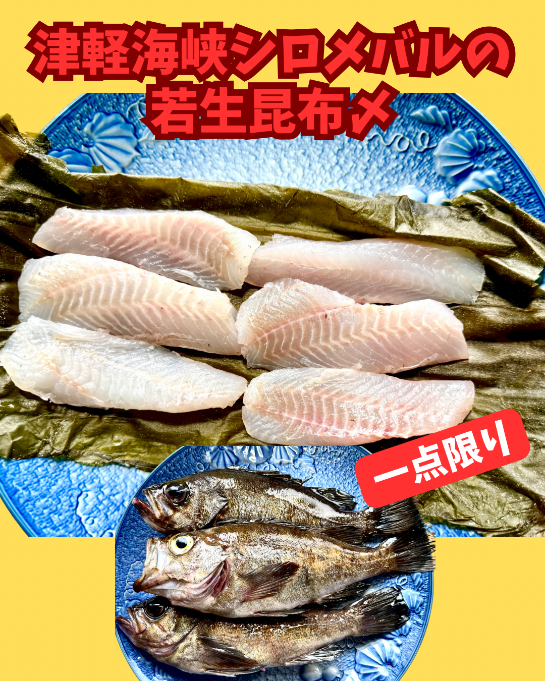 02095シロメバルの若生昆布〆(200g)(真空冷凍)