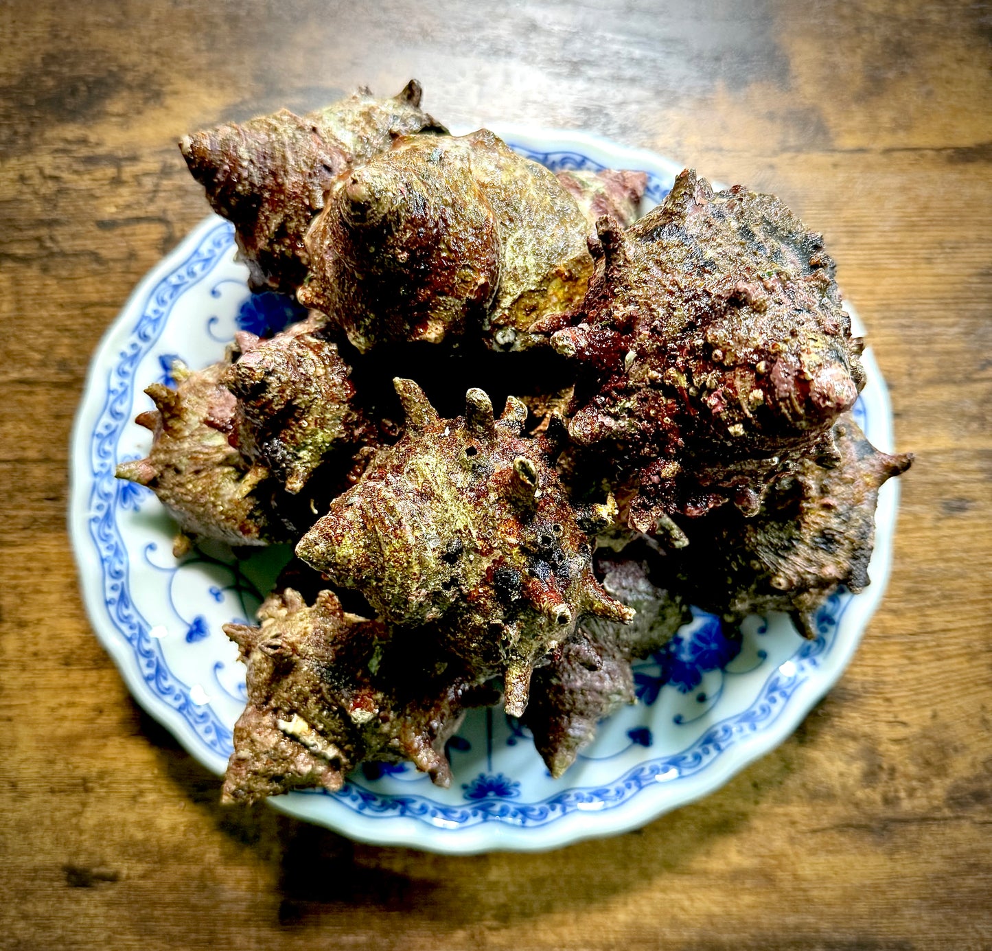 02006朝獲れ蒸サザエ お試しサイズ(200gUP)(真空冷凍)