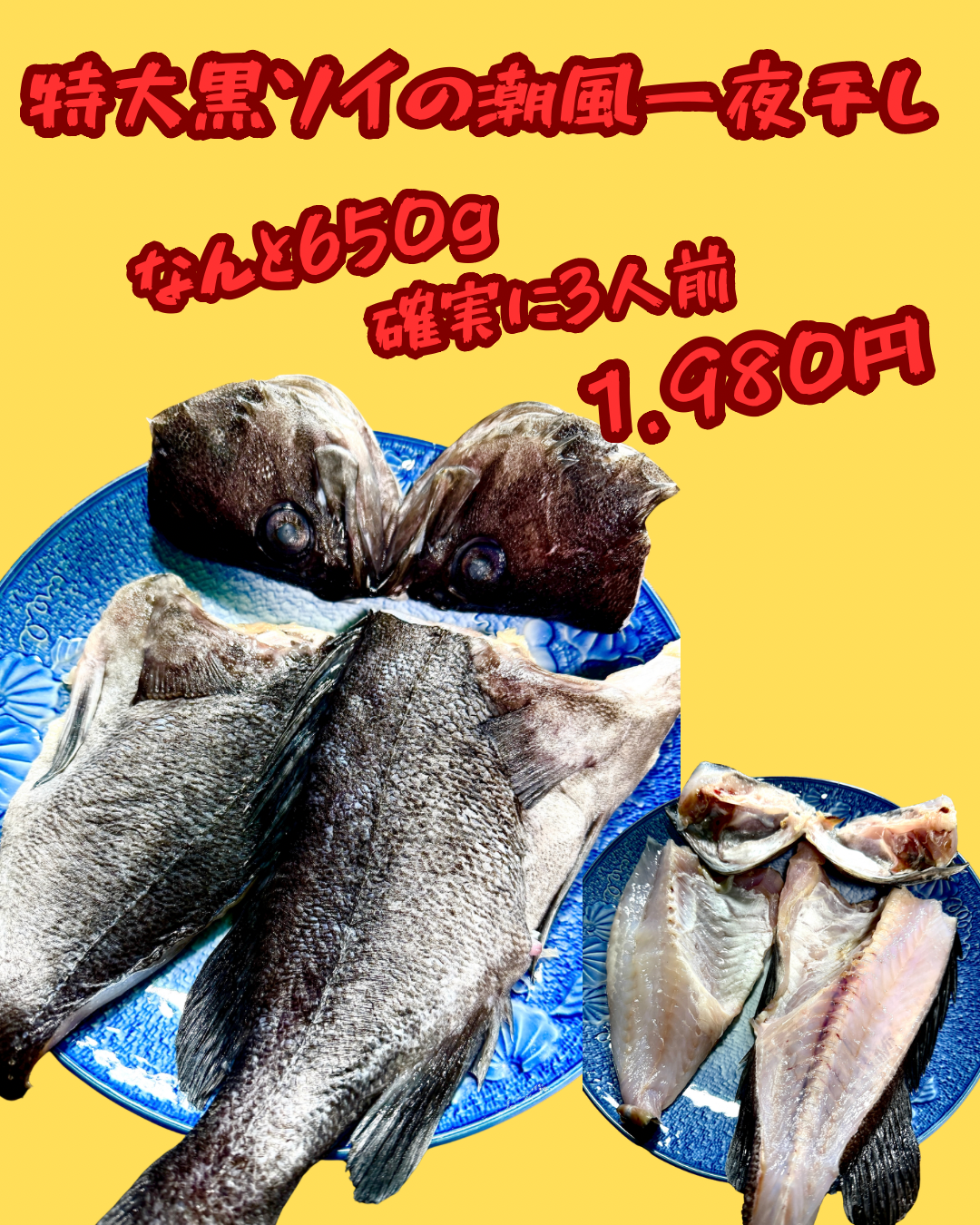 22012海峡特大黒ソイの潮風干し(650g)(真空冷凍)