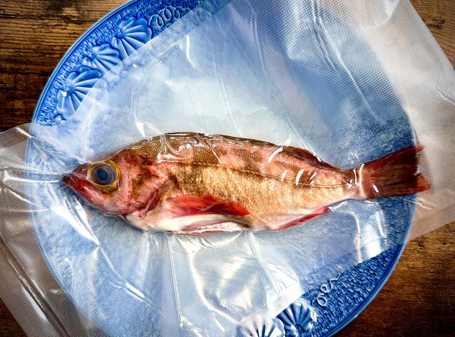 02016小泊沖メバル(250gUP)(真空冷凍)