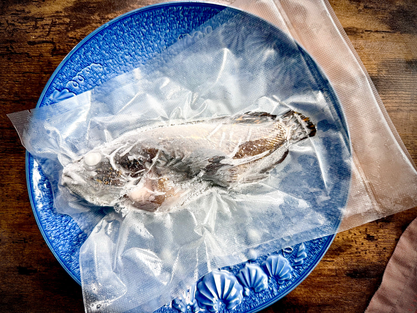 02015海峡ムラソイ(230gUP)(真空冷凍)