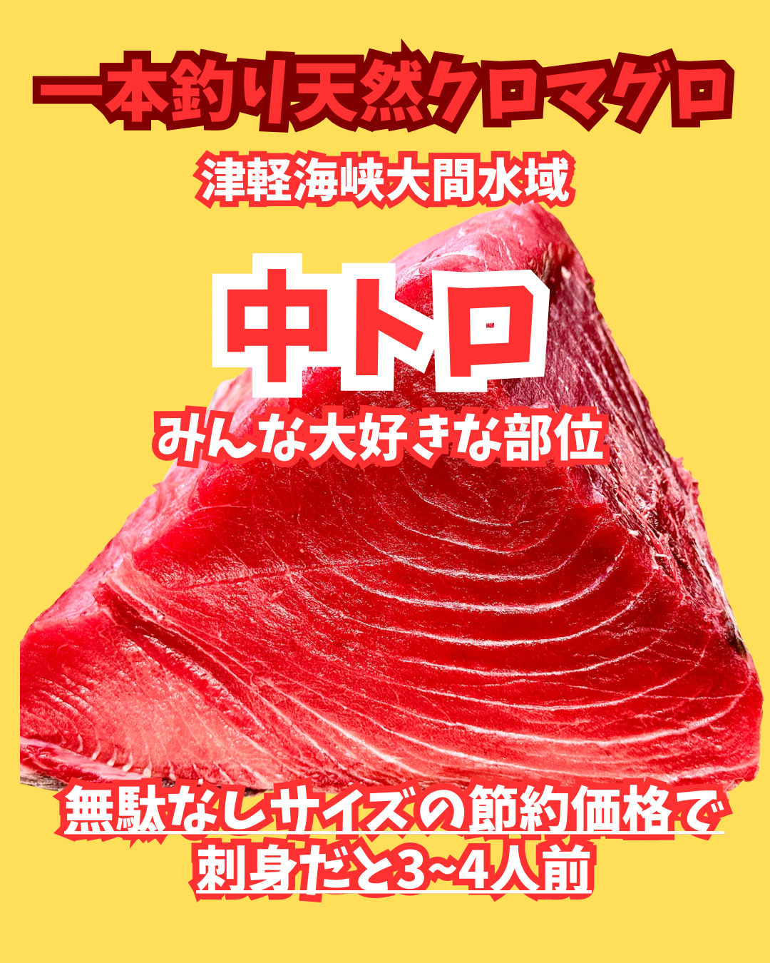 02001天然クロマグロ中トロ(350gUP)(冷凍真空)