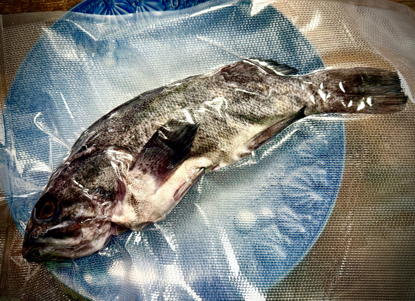 02038真冬のマゾイ(キツネメバル)(400gUP)(真空冷凍)