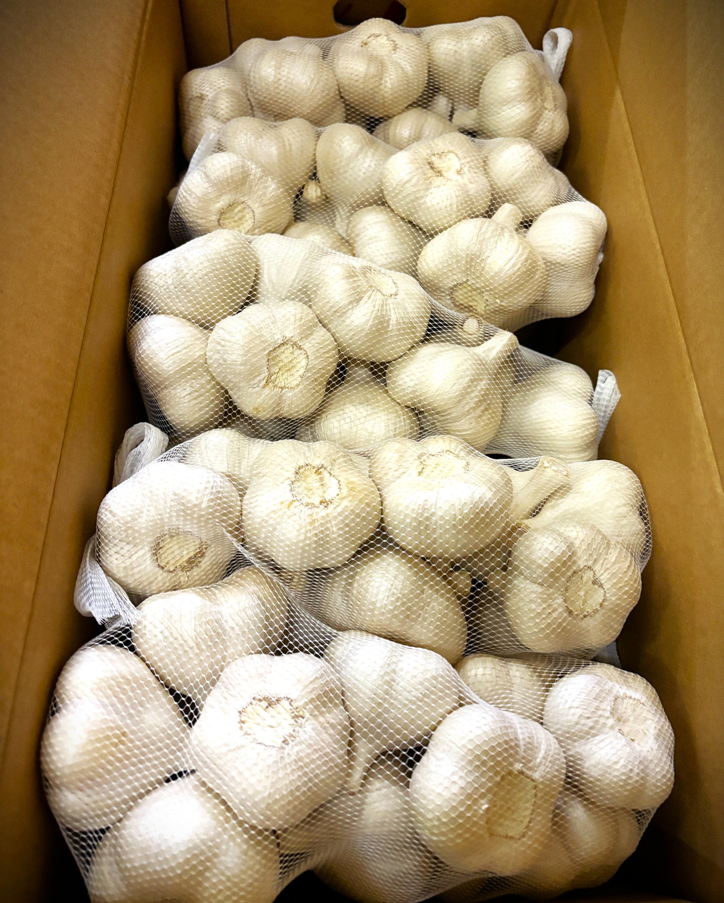 10003青森産にんにく(500g)(準備中)