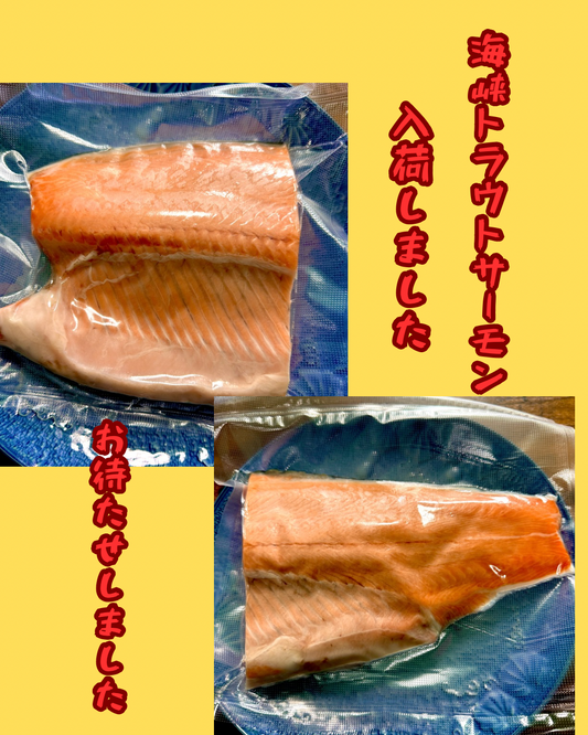 お待たせいたしました！海峡トラウトサーモンです。