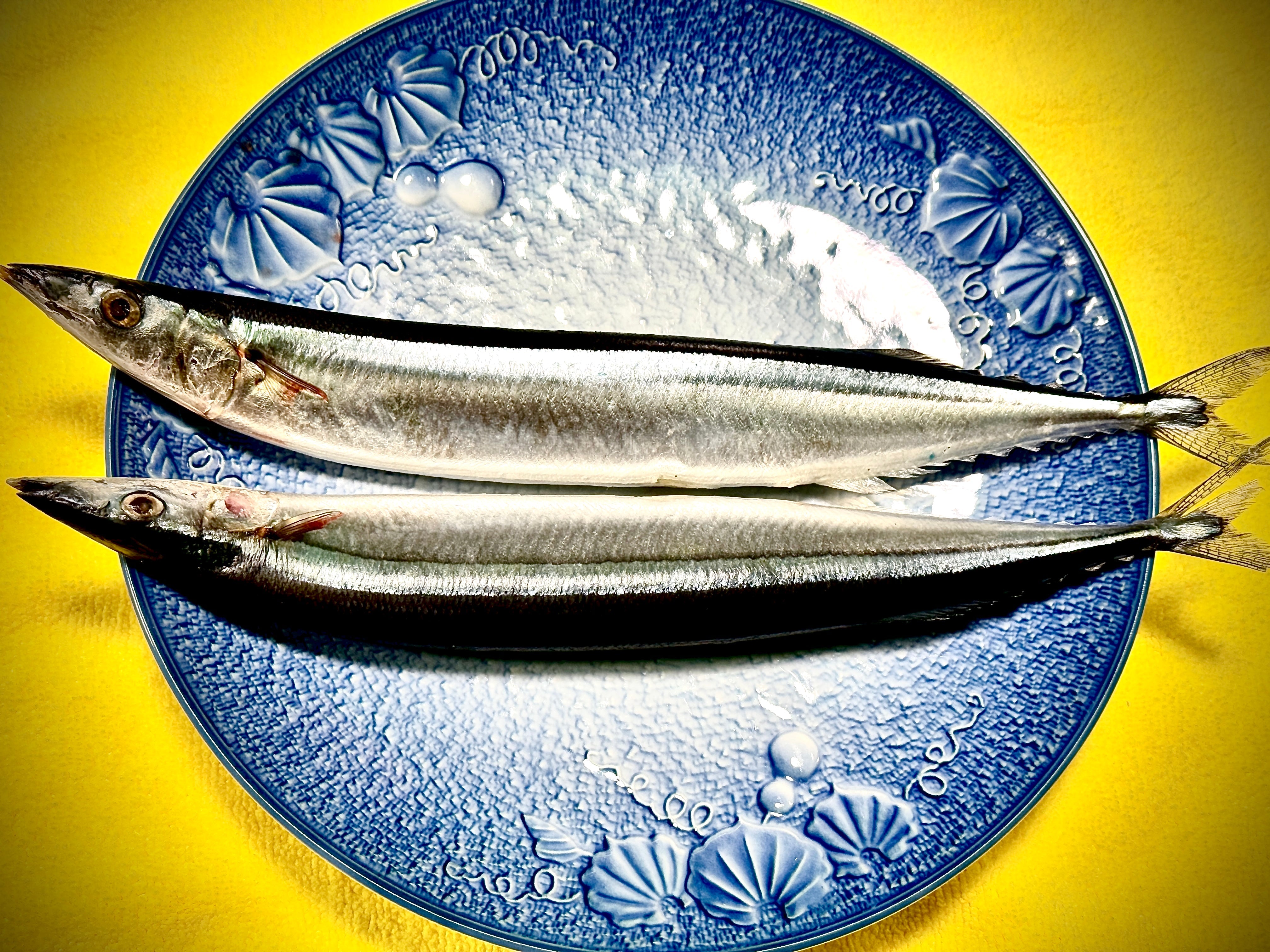 －６０℃冷凍庫の実力‼