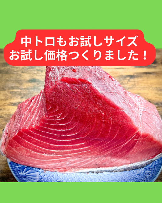 02025大間水域クロマグロ（中トロ）（450ｇUP）（真空冷凍）