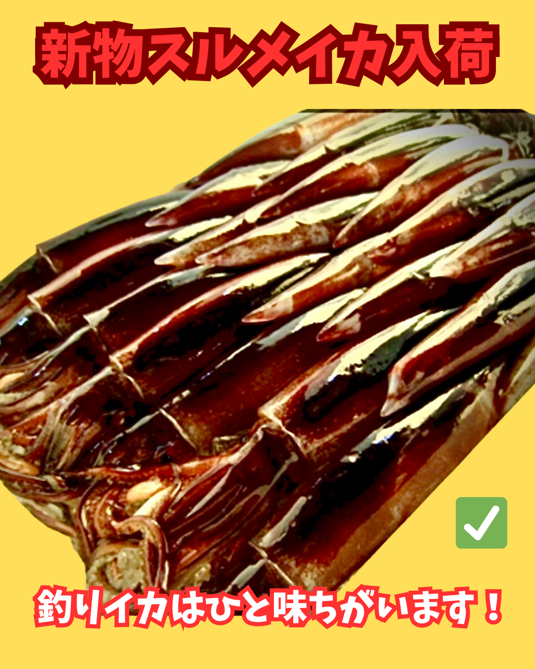 02004新物するめいか（塩辛作りサイズ）（4杯パック）（真空冷凍）