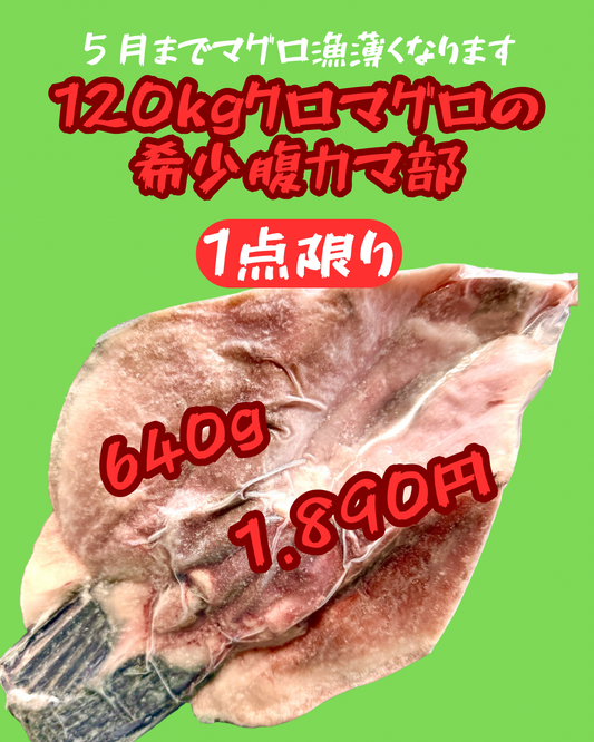 02012海峡クロマグロ腹カマ640ｇ（真空冷凍）