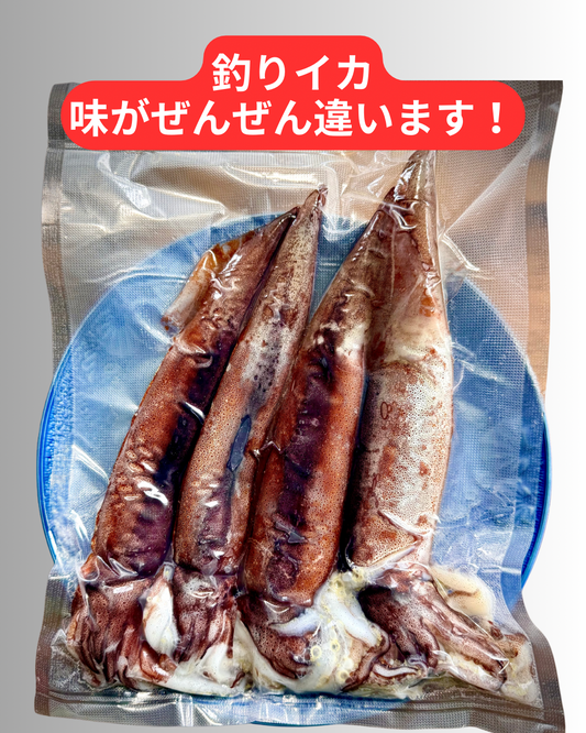 02004冬のするめいか（塩辛作りサイズ）（4杯パック）（真空冷凍）