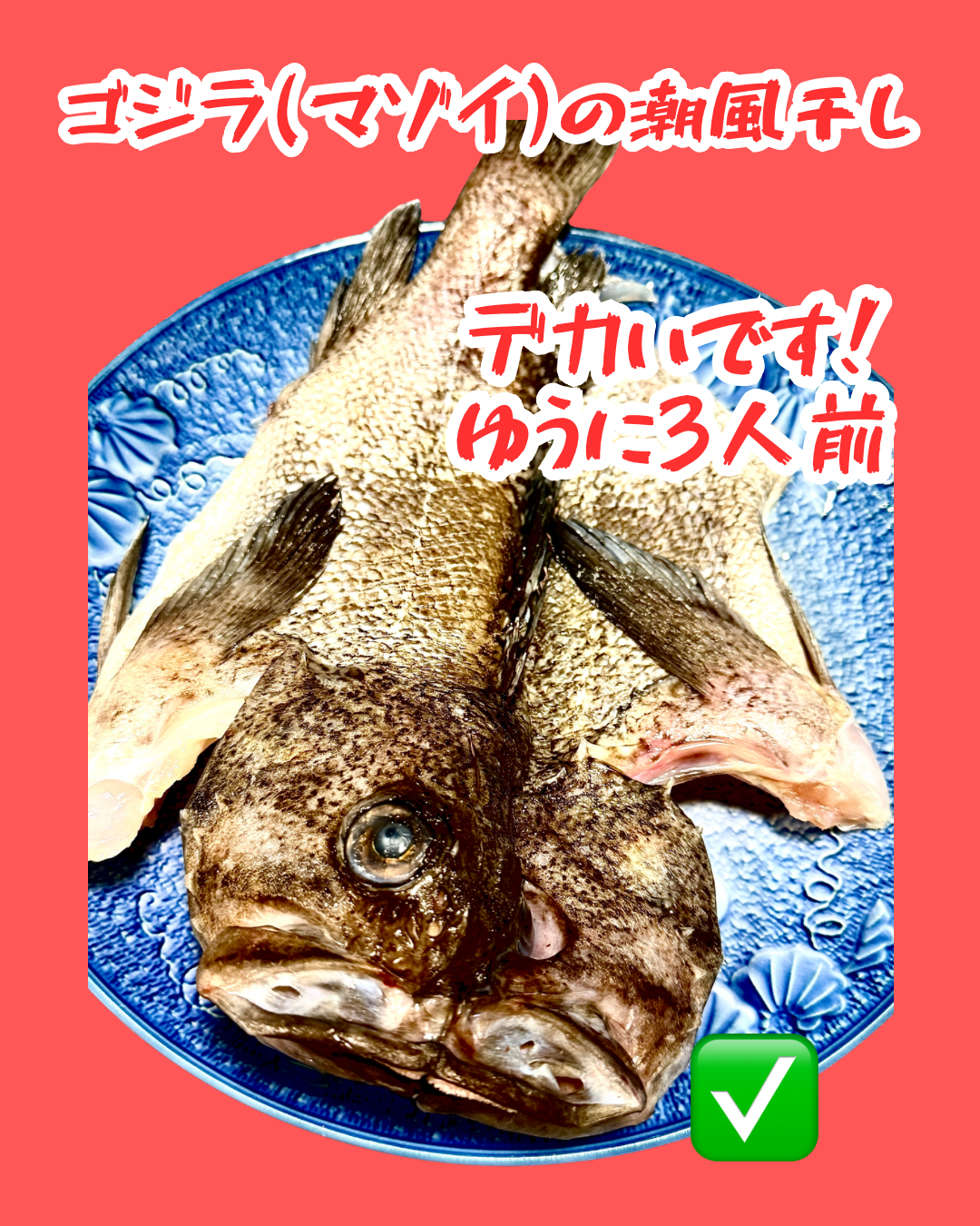 22014ゴジラ（マゾイ）の潮風干し（600ｇ）（真空冷凍）