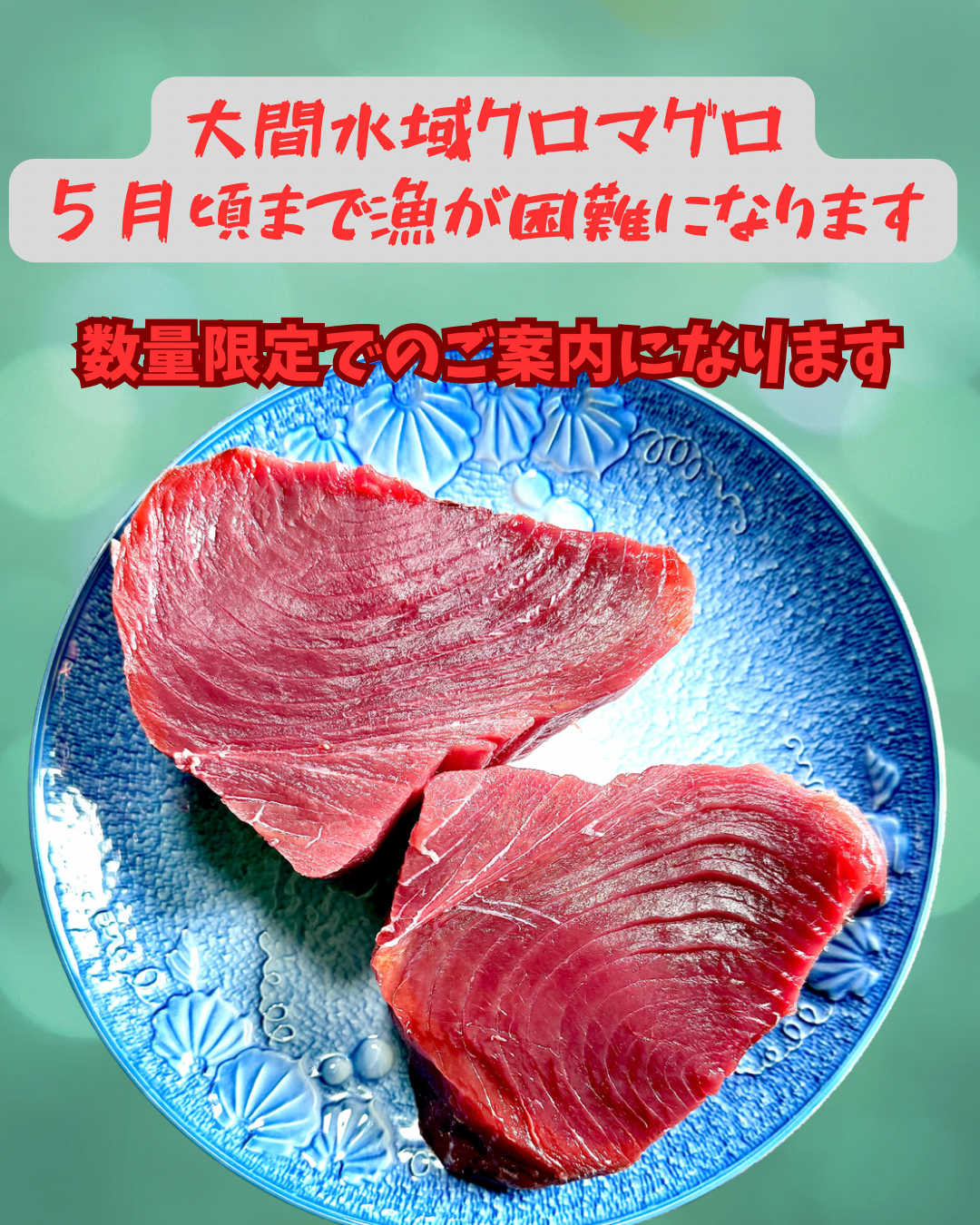 02026大間水域クロマグロ（赤身）（600UP）（真空冷凍）