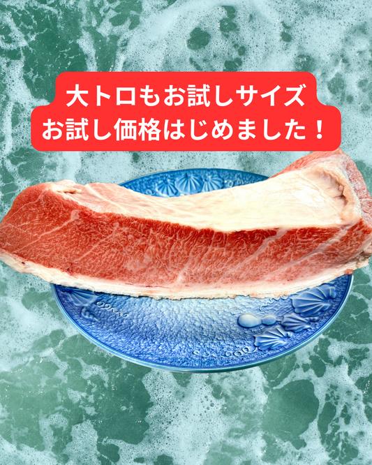 02041大間水域クロマグロ大トロ（400ｇＵＰ）（真空冷凍）