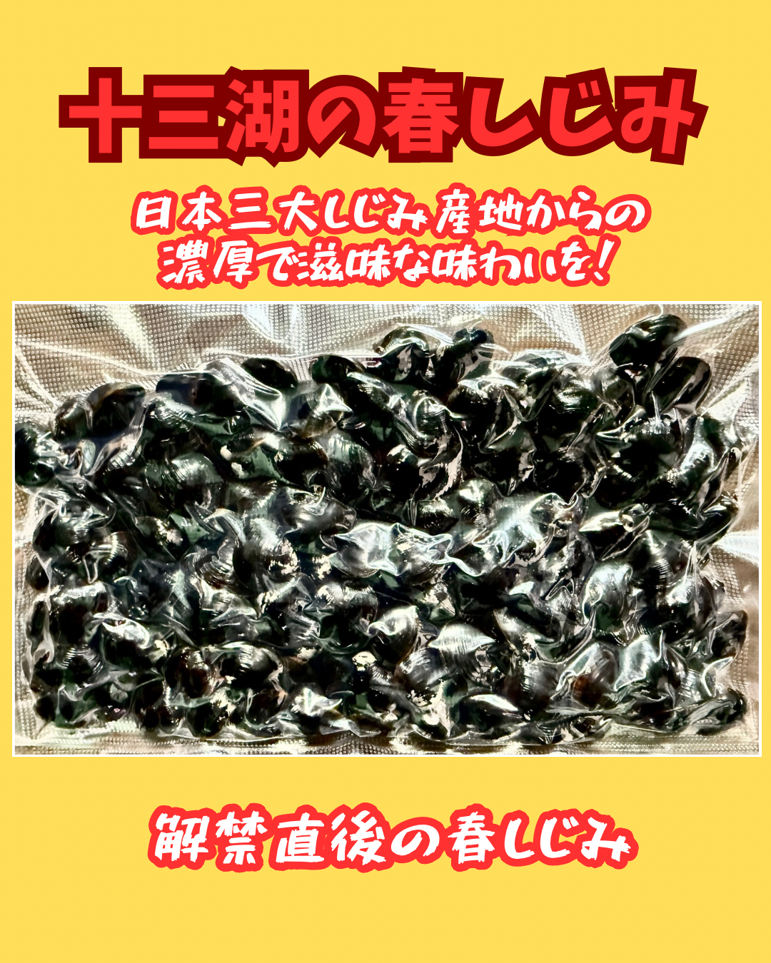02009青森十三湖しじみ（500ｇ真空冷凍）