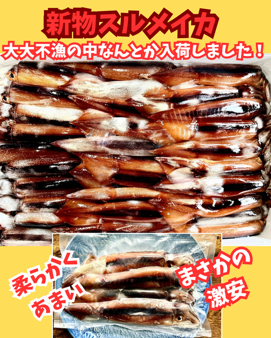 02004新物するめいか（4杯パック）（真空冷凍）