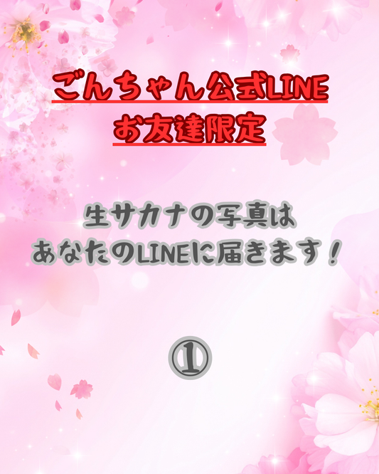 02041津軽海峡の生サカナ(まぞい1．1KG）