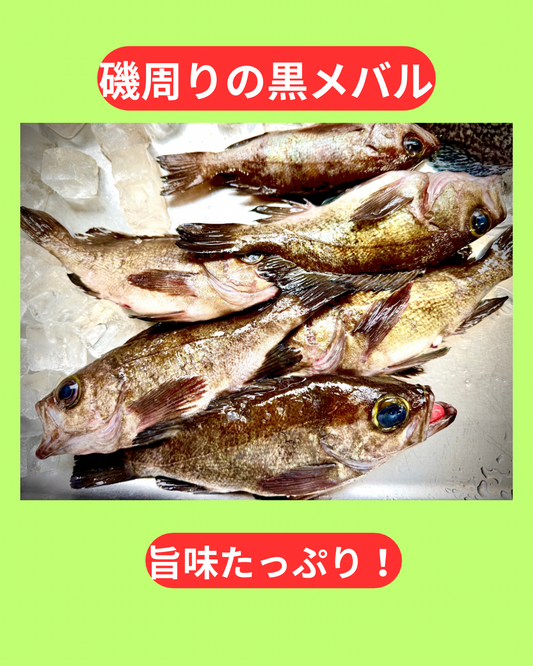 02039黒メバル（150ｇUP）（真空冷凍）