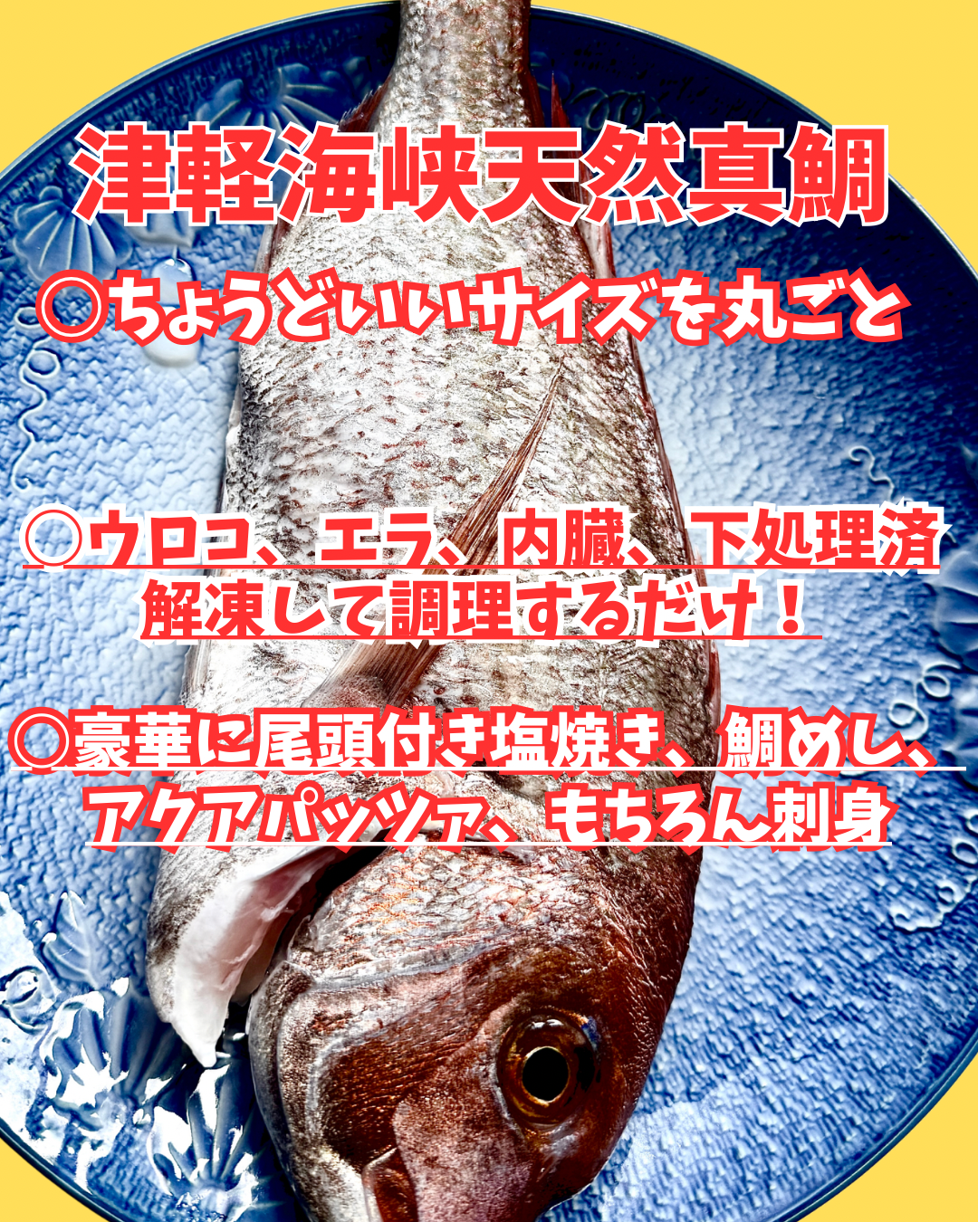 02066北限真鯛の丸ごと一匹（480ｇ）（真空冷凍）