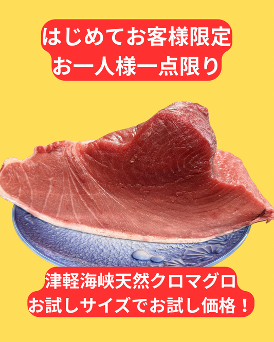 02006津軽海峡クロマグロ赤身(400ｇＵＰ）（真空冷凍）