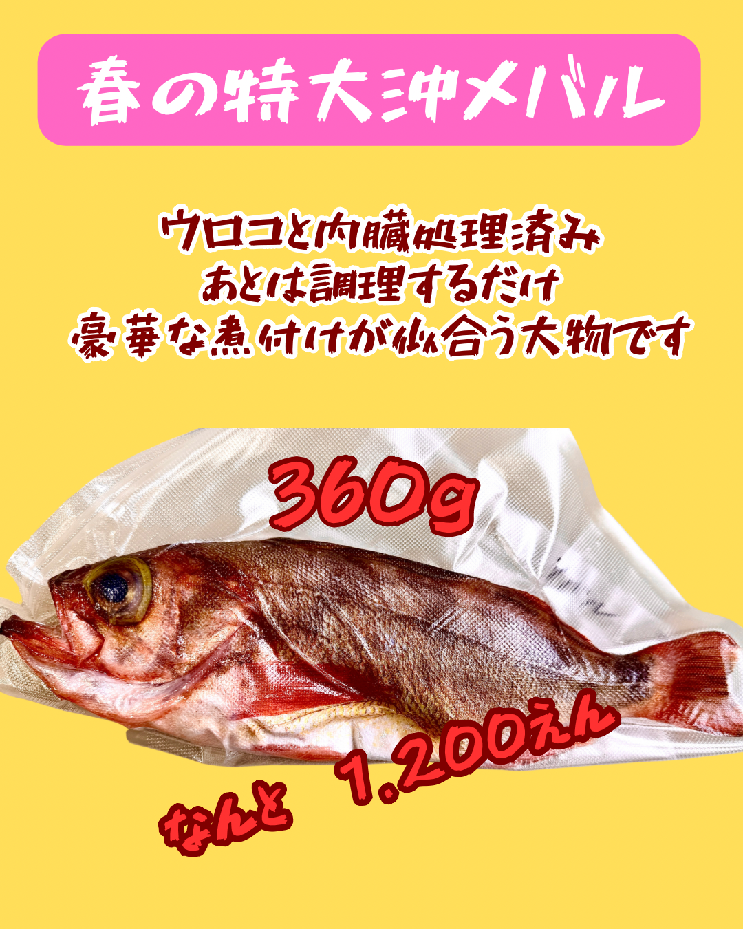 02016小泊特大沖メバル（360ｇUP）（真空冷凍）