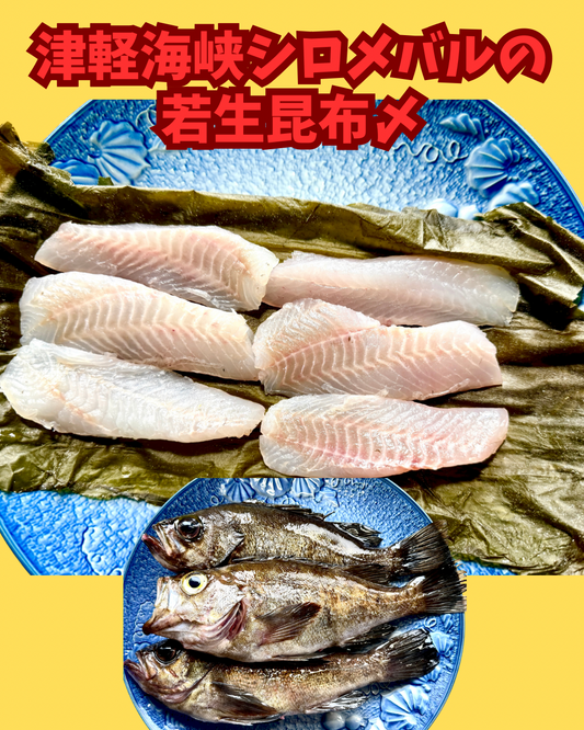 02095シロメバルの若生昆布〆（200ｇ）（真空冷凍）