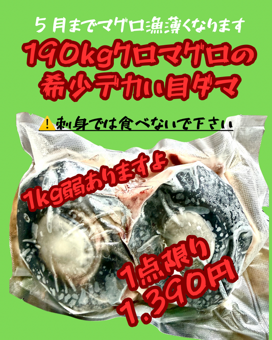 02044クロマグロでかい目玉（真空冷凍）