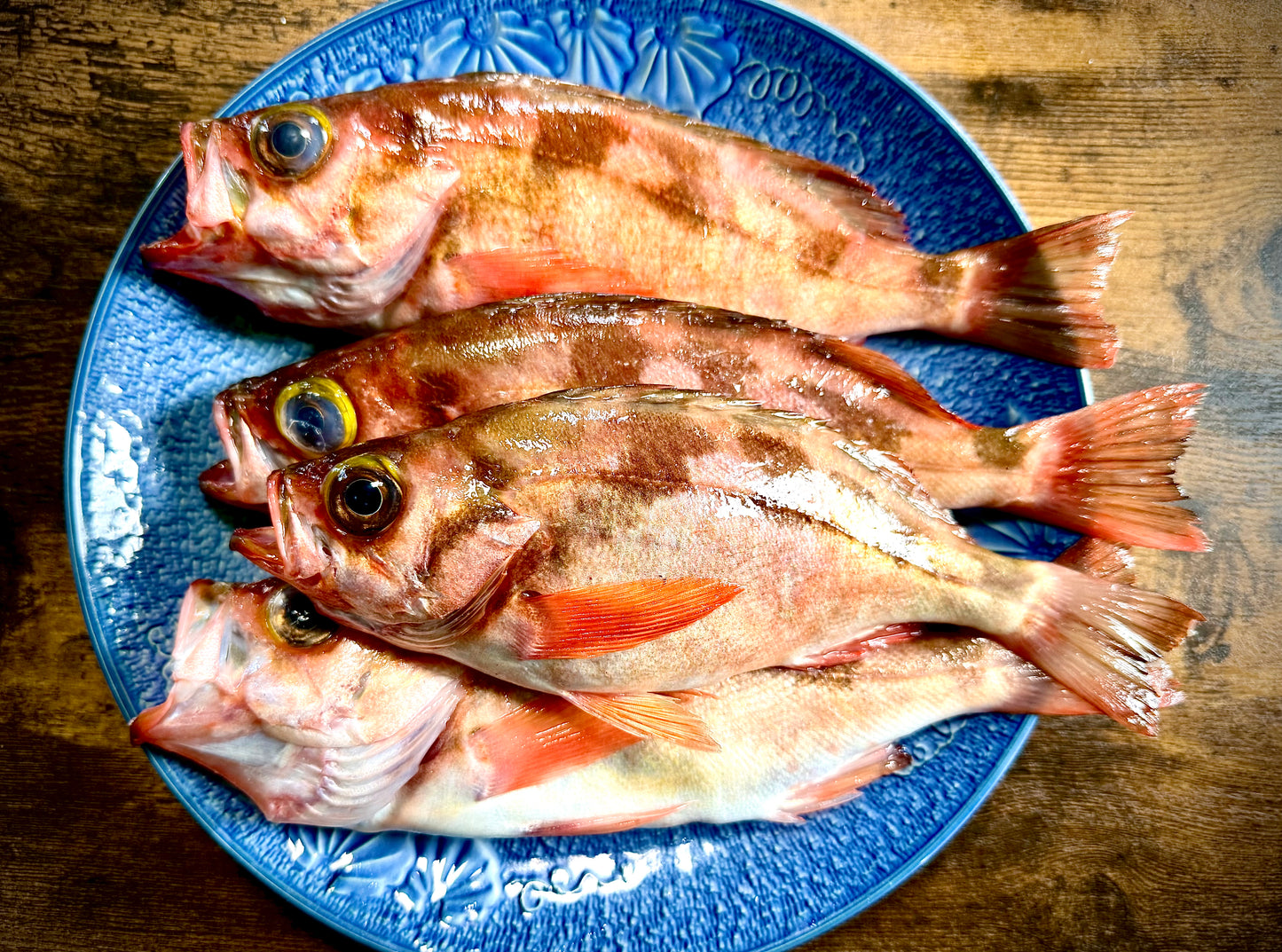 02016小泊沖メバル（２５０ｇUP）（真空冷凍）