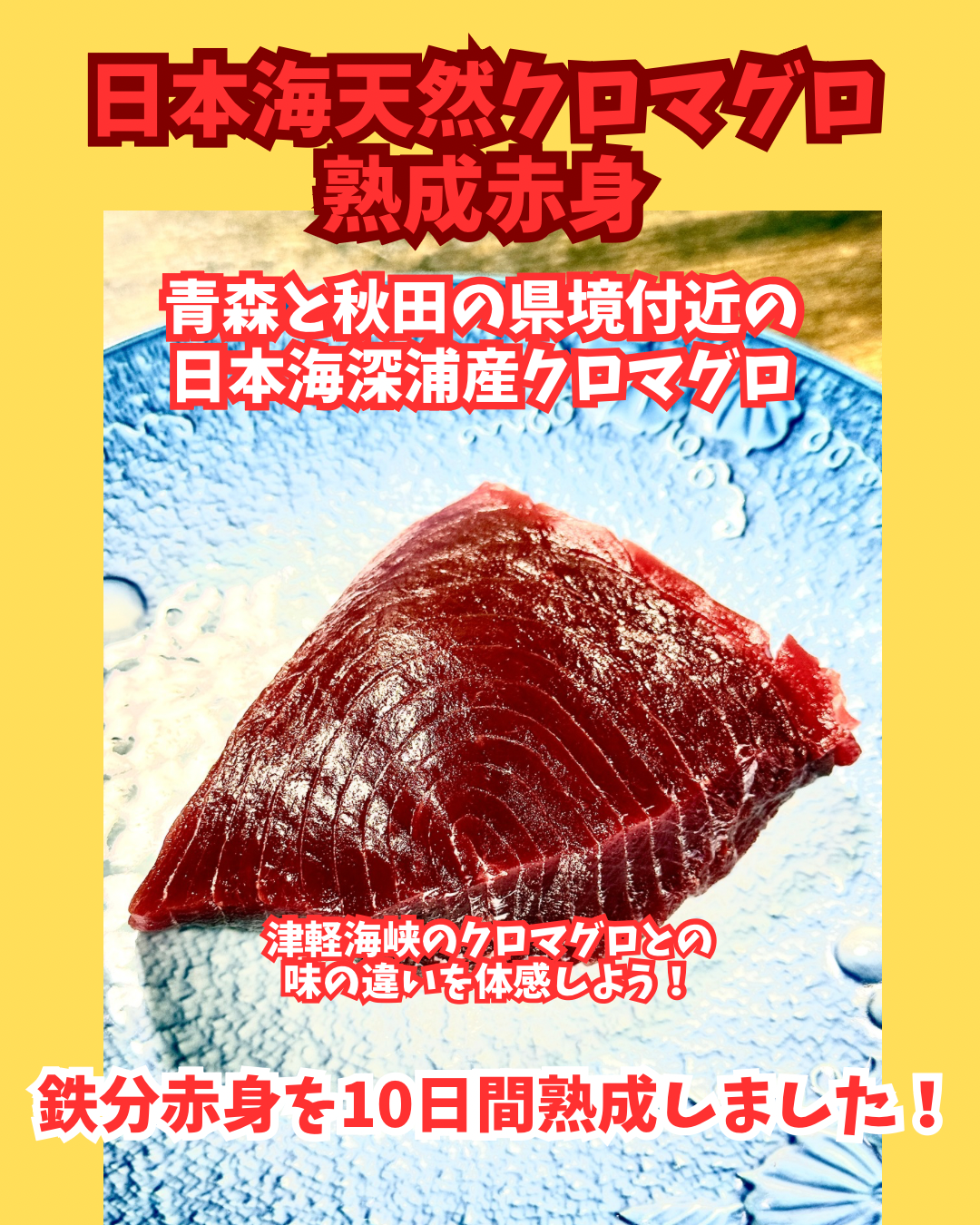 02099日本海天然クロマグロ熟成赤身（300ｇUP）（真空冷凍）