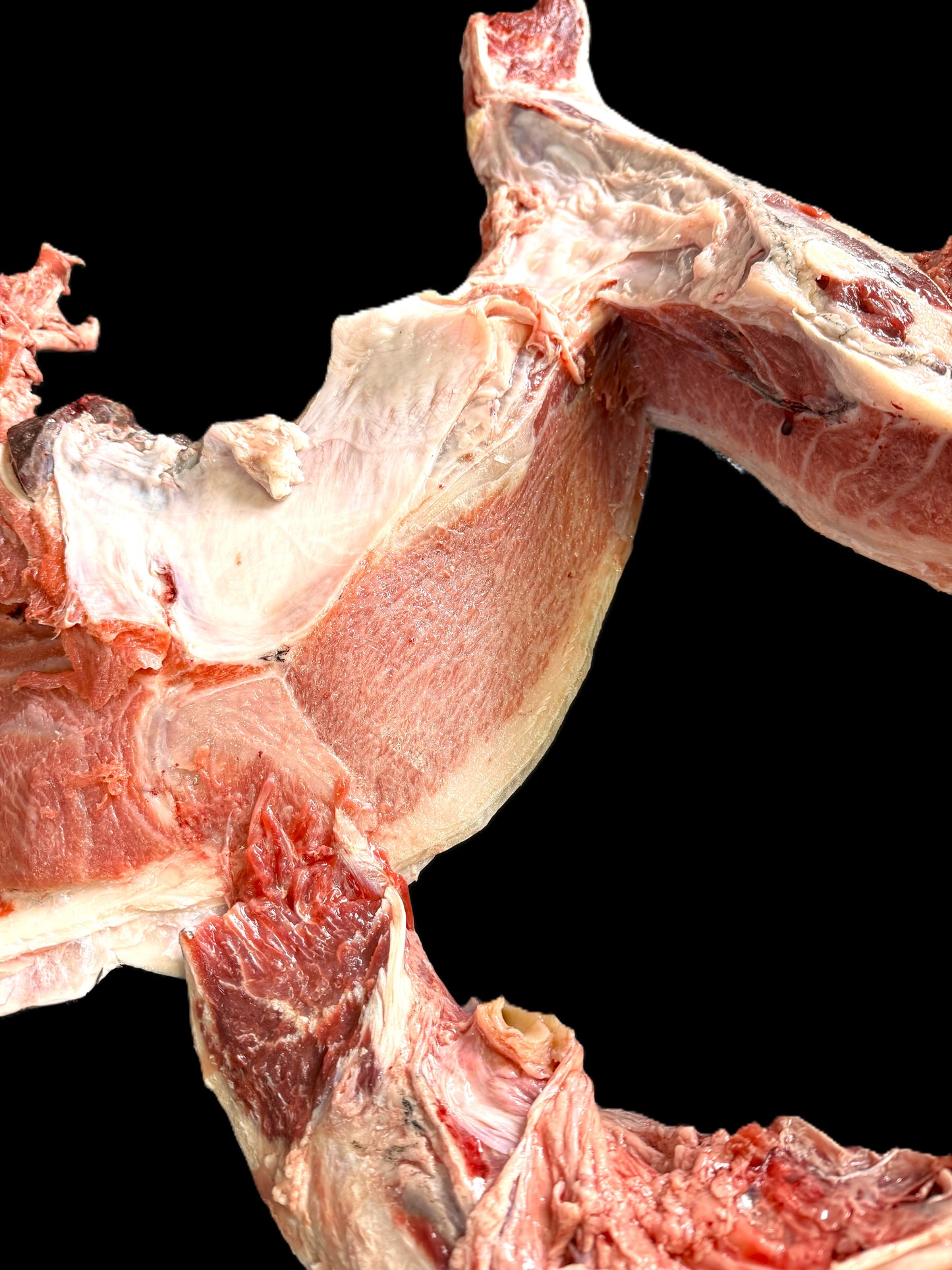 02036大間クロマグロカマ（1.4ｋｇUP）（真空冷凍）