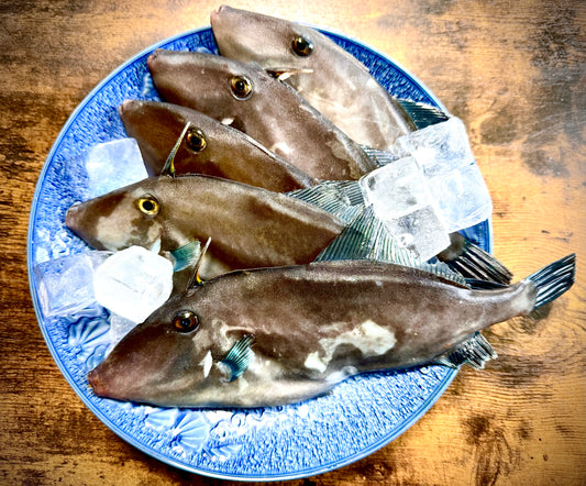 02017ウマズラハギ（４００ｇUP）（真空冷凍）