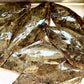 02007津軽海峡天然ヒラメ（300UP切り身冷凍）