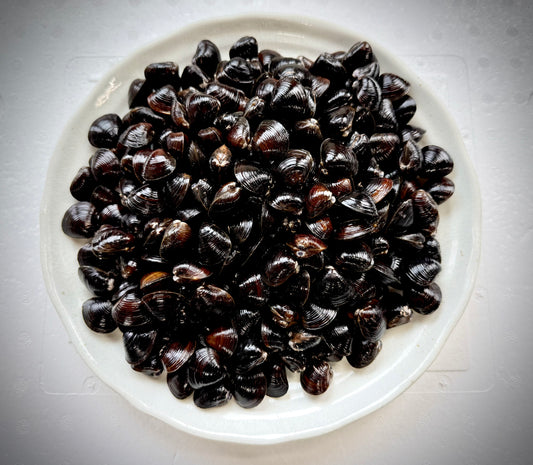 02009青森十三湖しじみ（500ｇ真空冷凍）