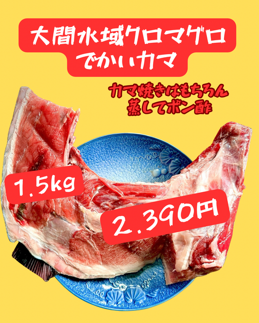 02036大間クロマグロカマ（1.4ｋｇUP）（真空冷凍）