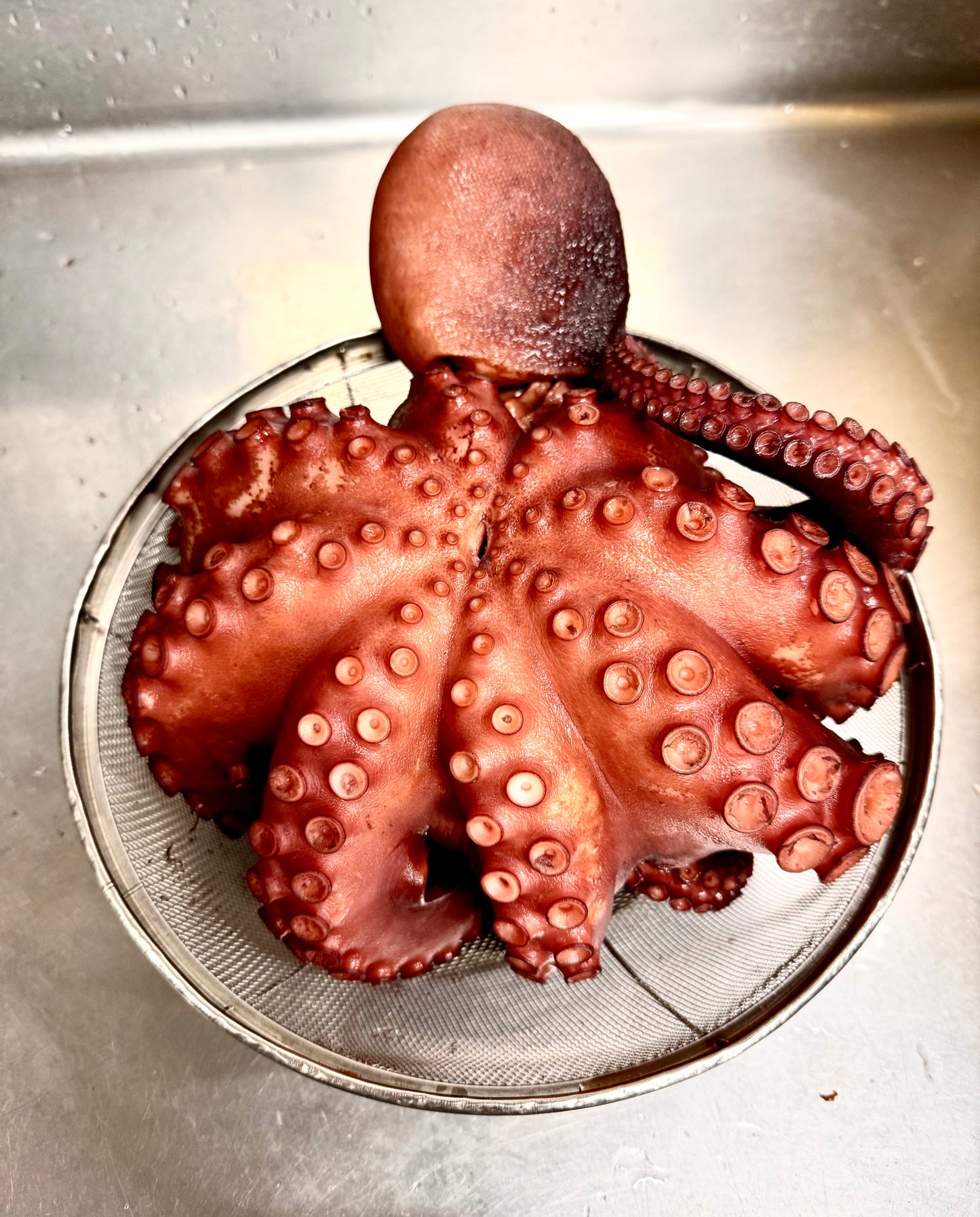 02031津軽海峡冬の真タコ（190ｇUP）（真空冷凍）