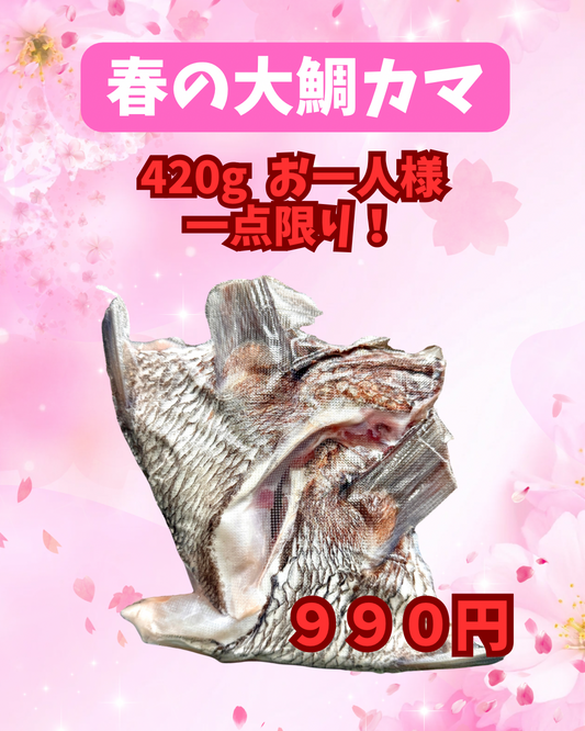 02047春の大ダイカマ（420ｇ）（真空冷凍）