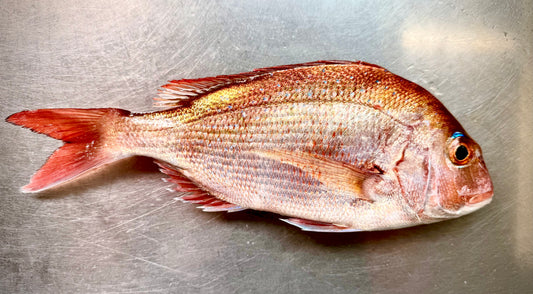 02021冬の北限真鯛尾頭付き（６６０ｇUP）（真空冷凍）