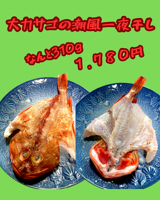 22011海峡大カサゴの潮風一夜干し（310ｇ）（真空冷凍）