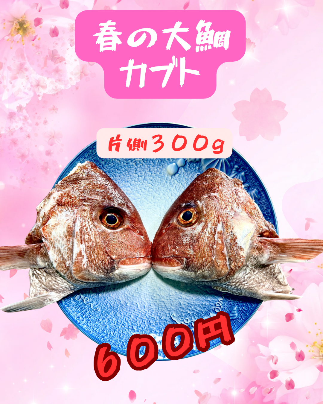 02049春の大ダイカブト（300ｇ）（真空冷凍）