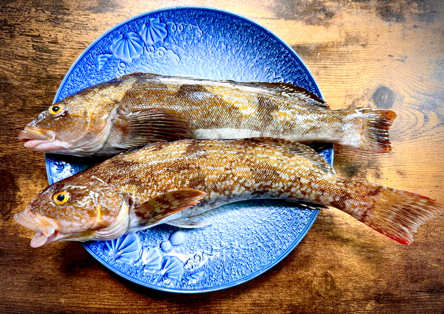 02018海峡アイナメ（５００ｇUP）（真空冷凍）