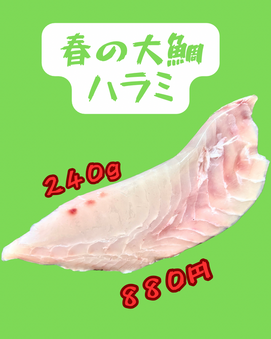 02050大ダイ腹身（240ｇ）（真空冷凍）