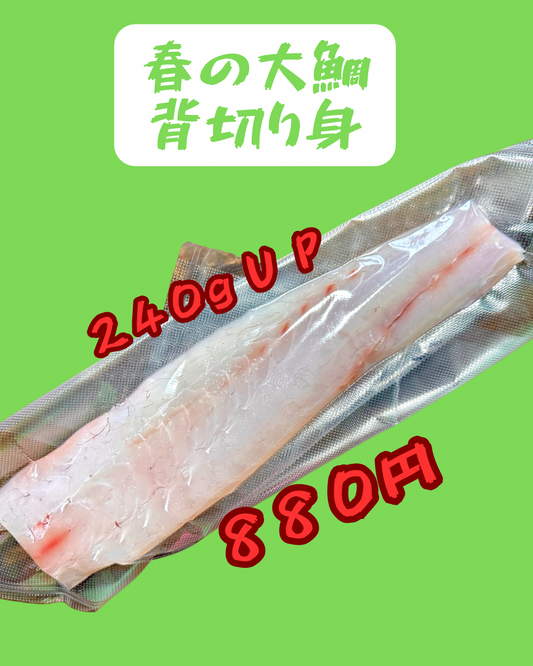 02051大ダイの背の切り身（240ｇ）（真空冷凍）