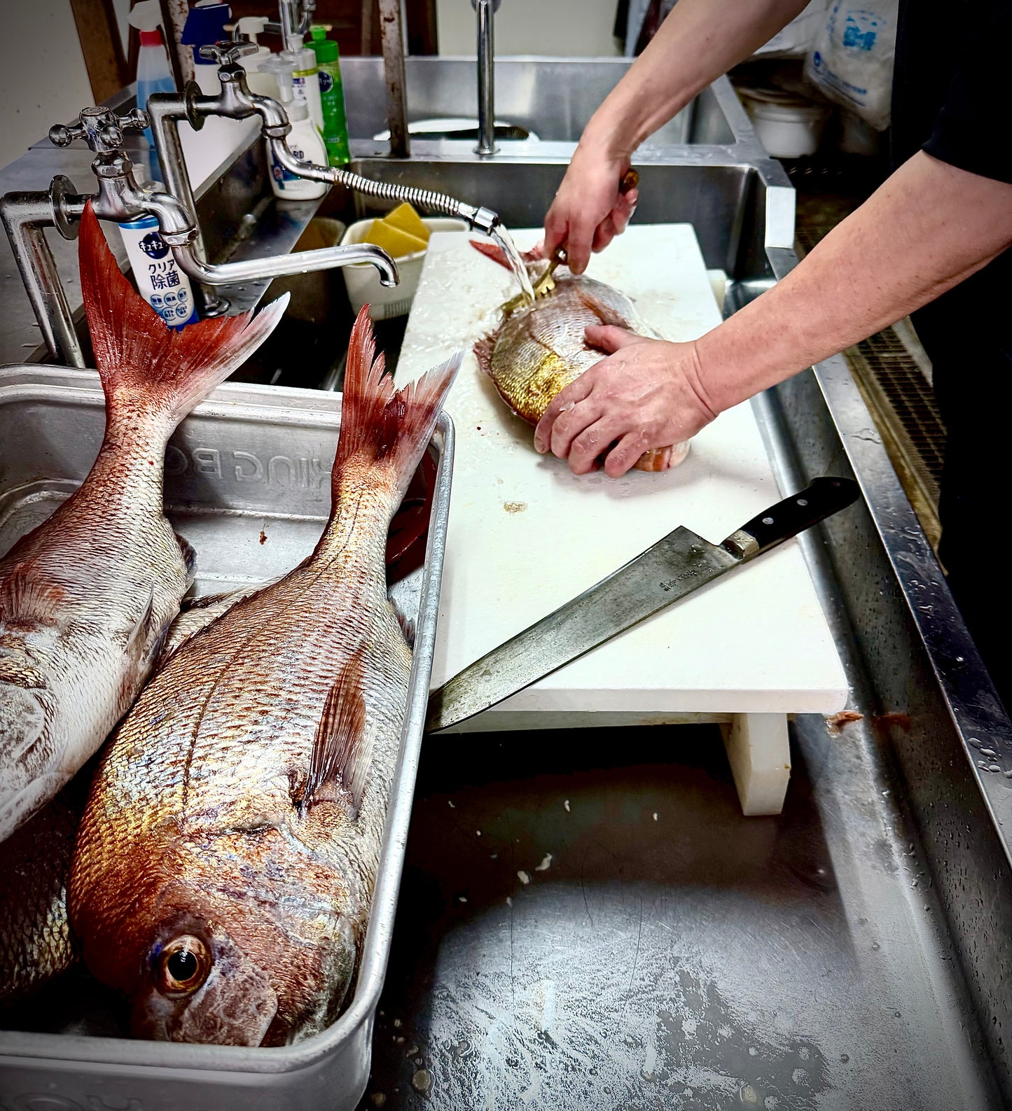 02030冬の海峡真鯛３点セット（1.5㎏UP）（真空冷凍）