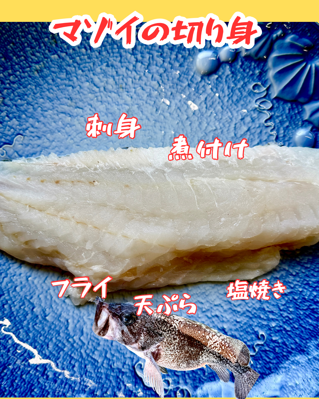 02062津軽海峡マゾイの切り身（250ｇ）（真空冷凍）