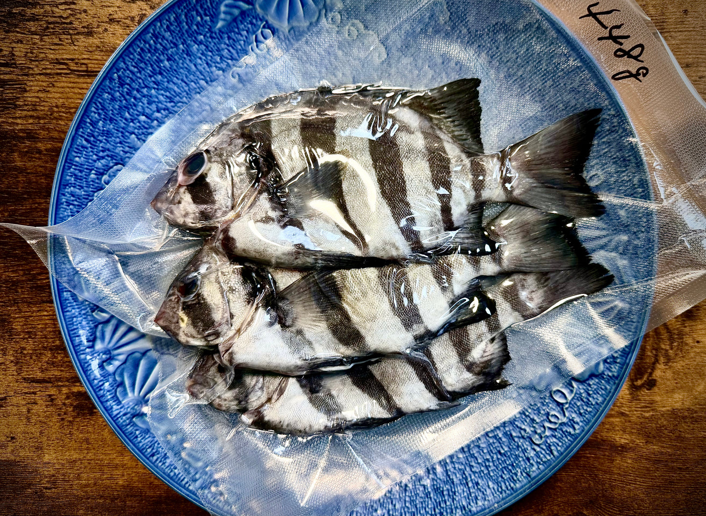 02019しまだい（４００ｇUP）（真空冷凍）