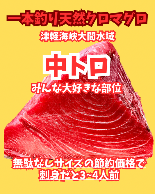 02001天然クロマグロ中トロ（350ｇUP）（冷凍真空）