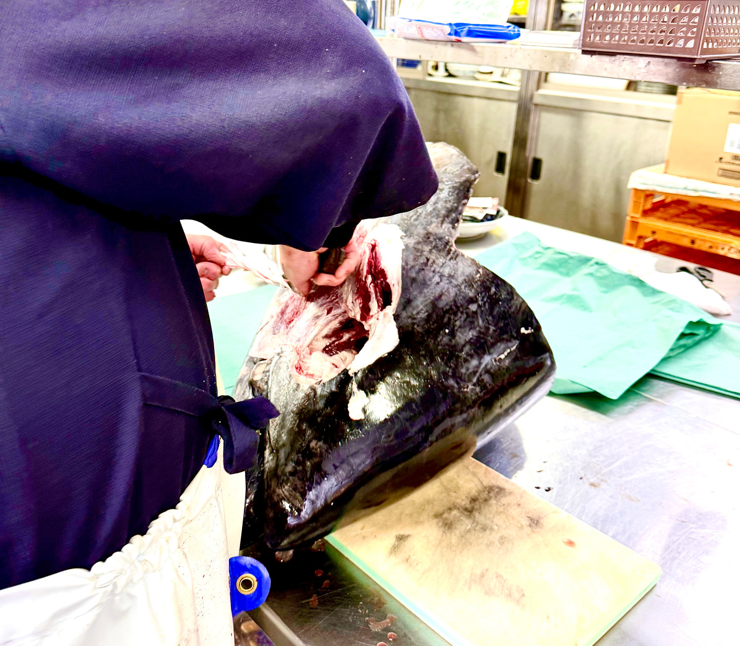 02035大間クロマグロの希少脳天肉（680ｇUP）（真空冷凍）