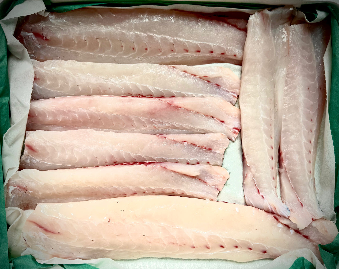 02002北限の真鯛（500ｇ真空冷凍） 冬の真鯛