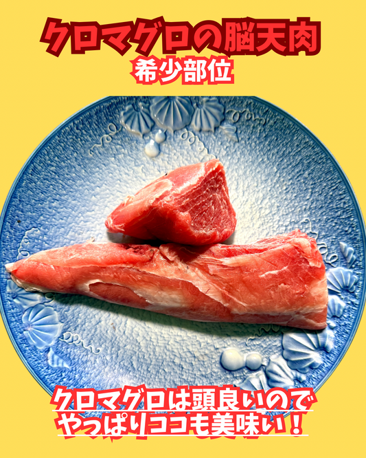 02035大間クロマグロの希少脳天肉（230ｇUP）（真空冷凍）