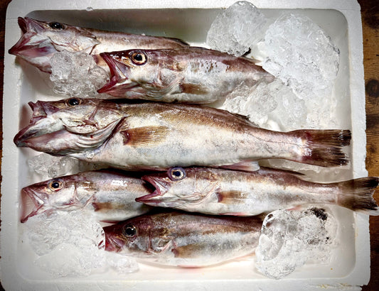 02014アラ（２３０ｇUP）（真空冷凍）